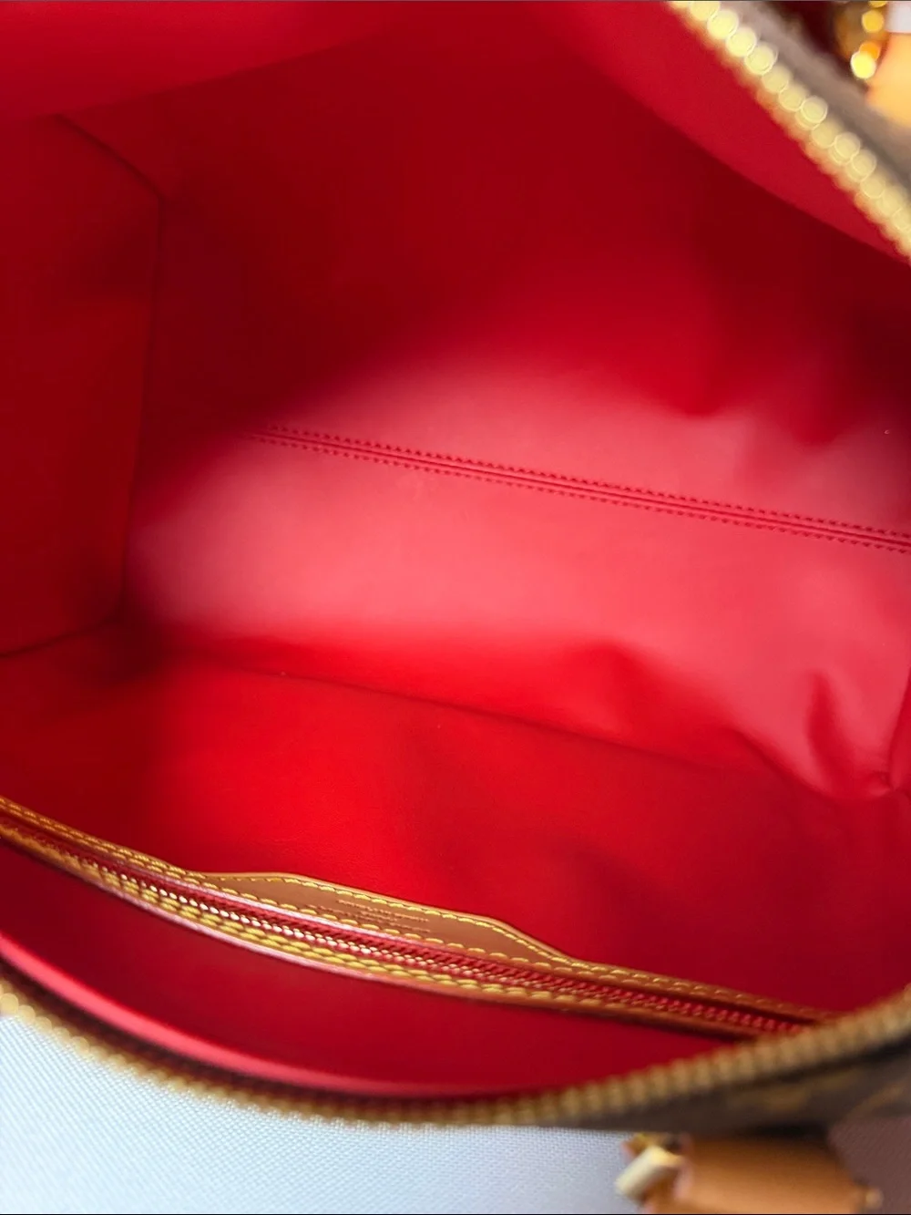 Louis Vuitton Speedy 30 Crafty